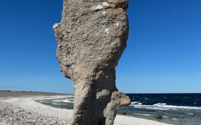 Fårö 2