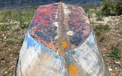 Palette du peintre